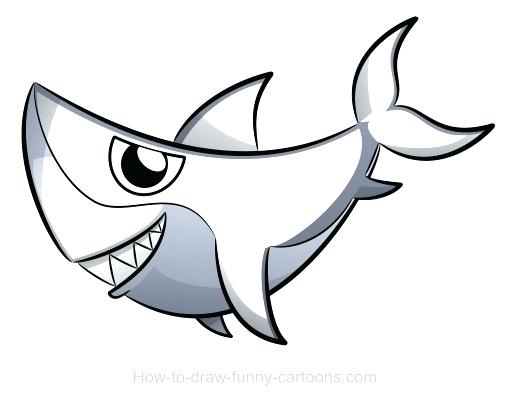 510x400 How To Draw A Shark