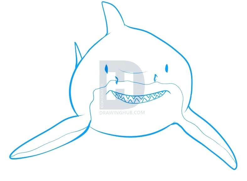 787x578 Drawing Sharks How To Draw A Shark Step Tiger Shark Drawing Easy