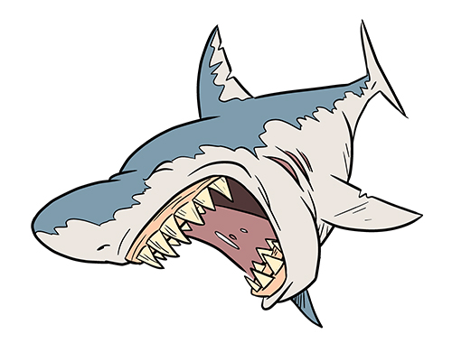 500x380 Great White Shark Mouth Clipart