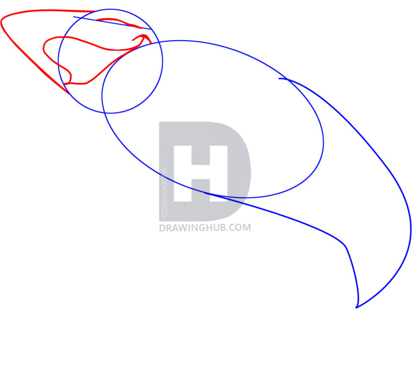 815x720 How To Draw A Cartoon Shark, Step