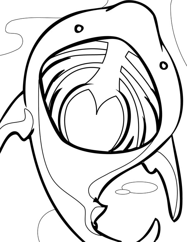 600x776 Shark With Mouth Open Coloring Page