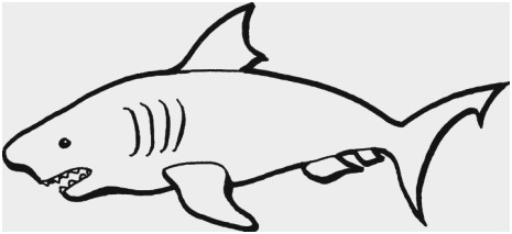 465x213 Free Printable Shark Coloring Pages Fresh Shark Mouth Coloring