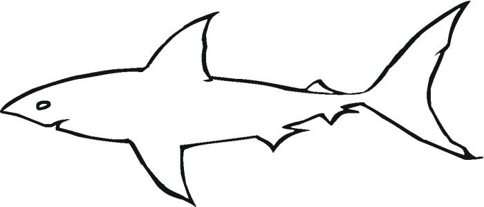 700x299 Printable Shark Outline Great White Shark Outline Coloring