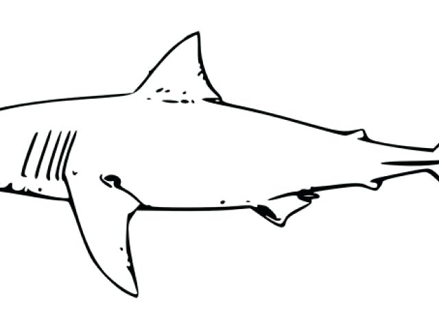640x480 Shark Outline Shark Outline Luxury Gallery For Shark Mouth Open