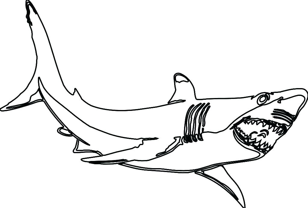 1024x694 Shark Printable Coloring Pages Exciting