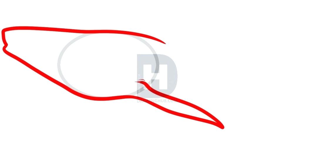 1080x553 how to draw a whale shark adopt a whale pencil drawing whale shark