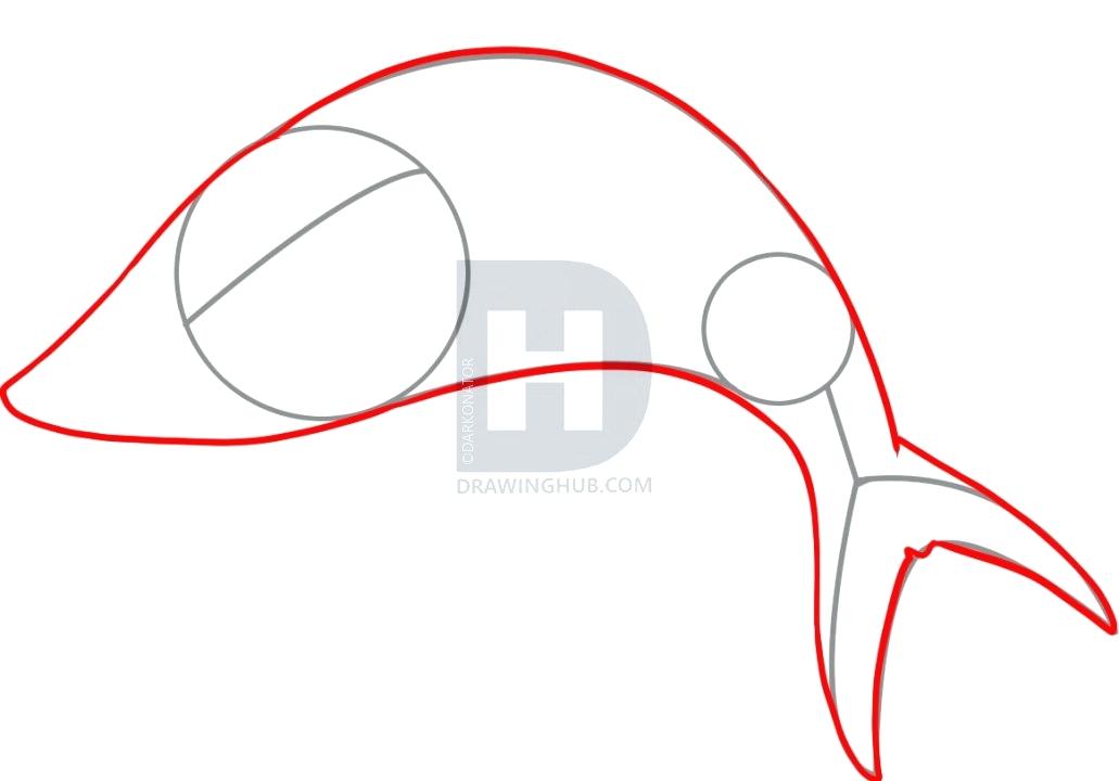 1031x720 easy shark drawings description now you will draw the entire shape