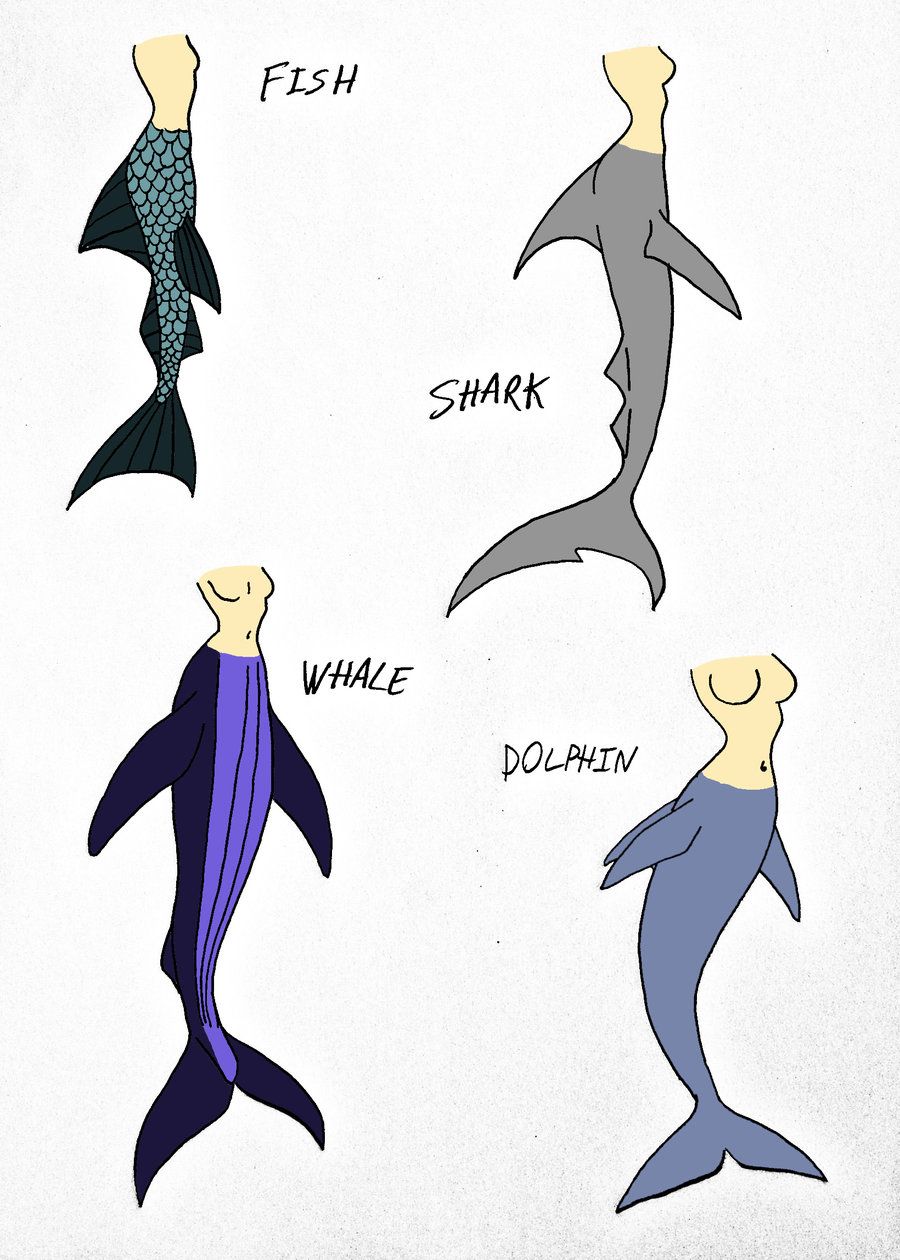 900x1260 Guide To Properly Drawing Mermaids