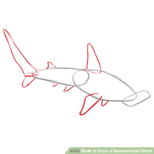 Shark Tail Drawing | Free download on ClipArtMag