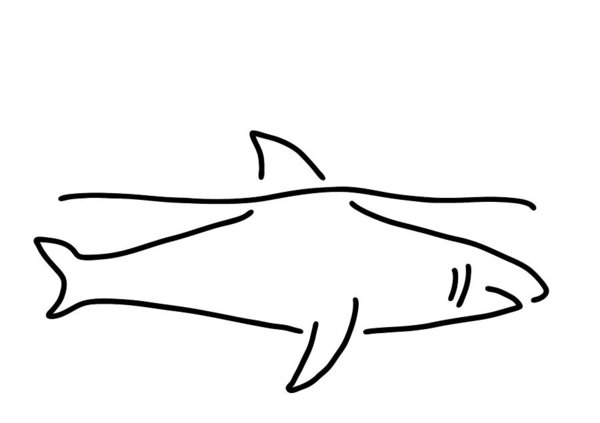 Shark Tail Drawing | Free download on ClipArtMag