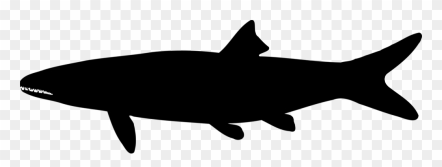 880x334 Shark Silhouette Drawing Computer Icons Black