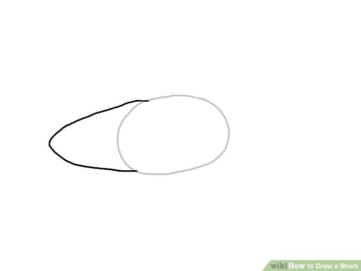 728x546 Ways To Draw A Shark