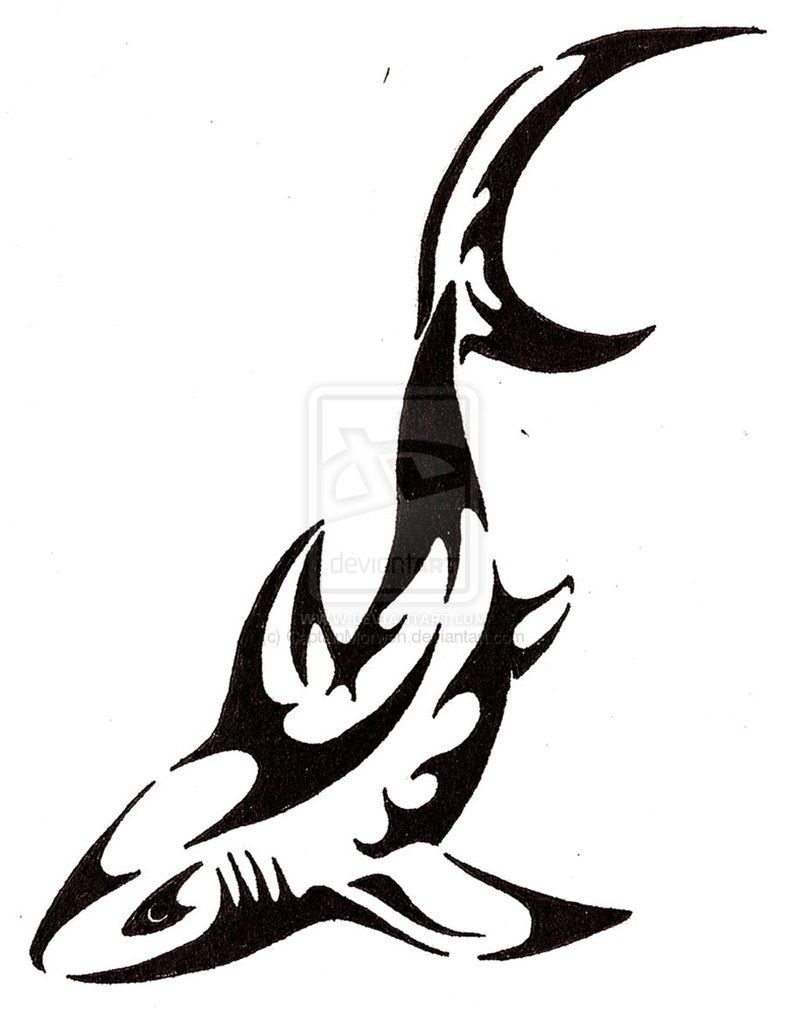 787x1015 tribal shark tattoos d shark tattoos, tattoos, tattoo designs