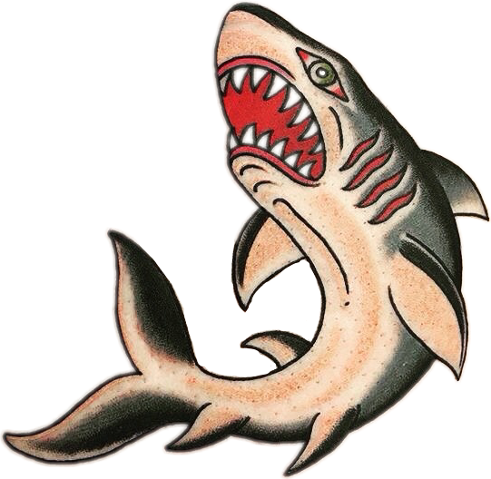 541x528 Collection Of Free Shark Drawing Traditional Download On Ui Ex