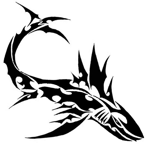 500x500 New Tribal Shark Tattoo Photo Tattoo Ideas