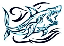 224x160 Best Tribal Shark Tattoos Images Tribal Shark Tattoos, Animal