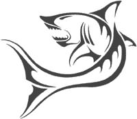 200x173 Shark Tattoo Drawing Designs