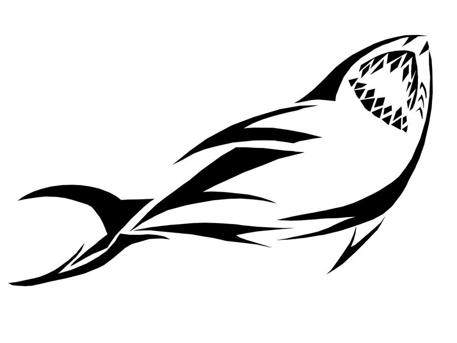 900x675 Shark Tattoo