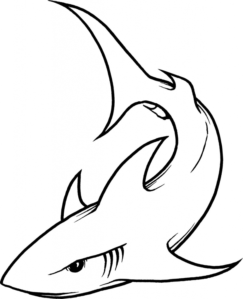 831x1024 Shark Lineart Shark Tattoo For Free Download