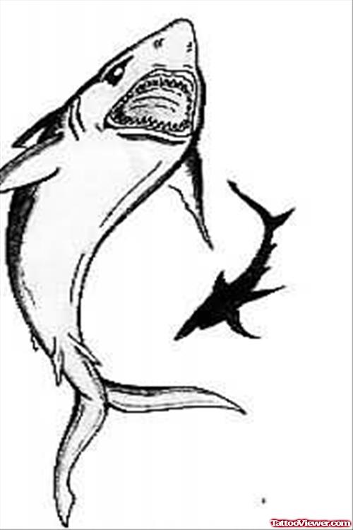 500x750 Big Shark With Little Shark Tattoo Design Tattoo