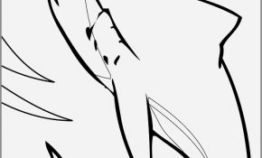 290x175 Beautiful Shark Teeth Template Malcontentmanatee