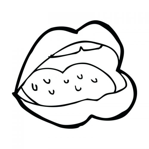 500x500 Coloring Pages Coloring Picture Of Mouth Shark With Open Drawing