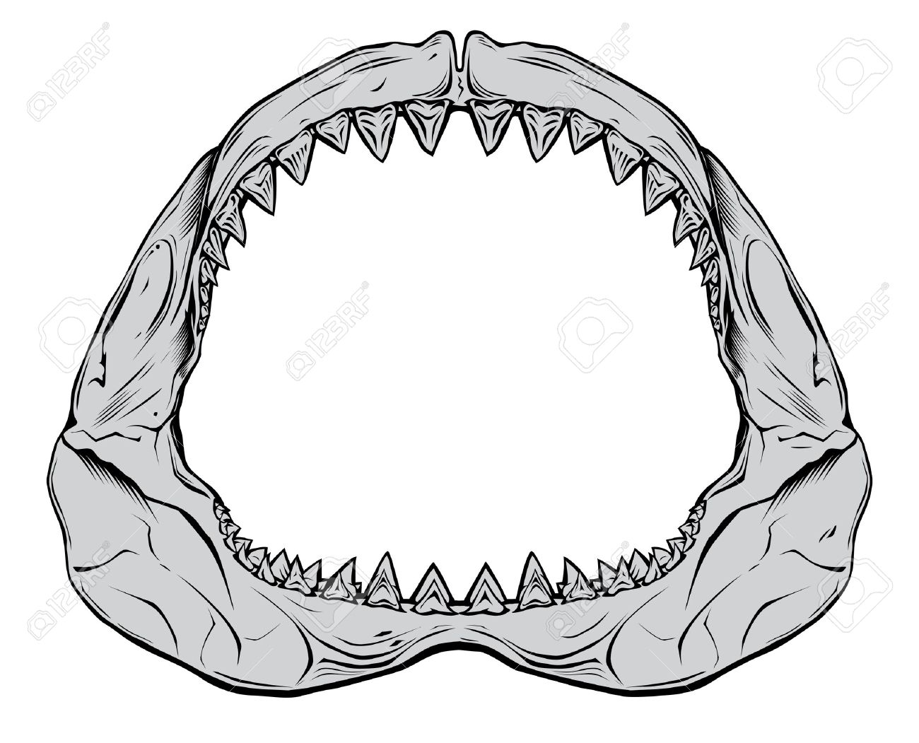 1300x1051 Open Shark Mouth Clipart