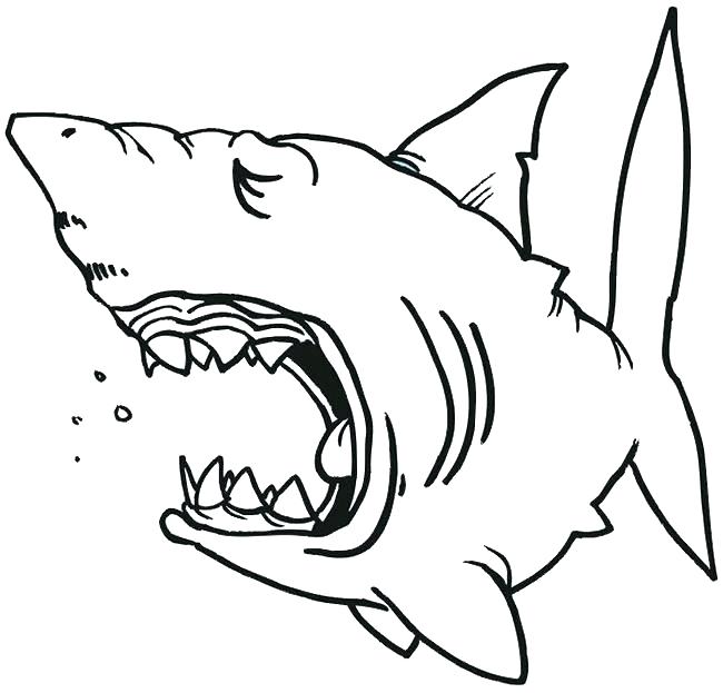 650x623 shark mouth outline shark jaw silhouette shark mouth open outline