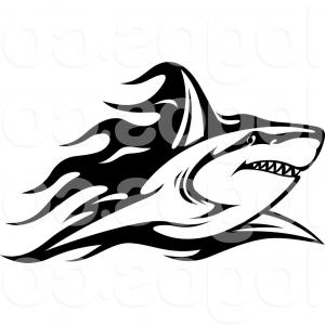 300x300 Shark Open Mouth Vector Clipart Sohadacouri