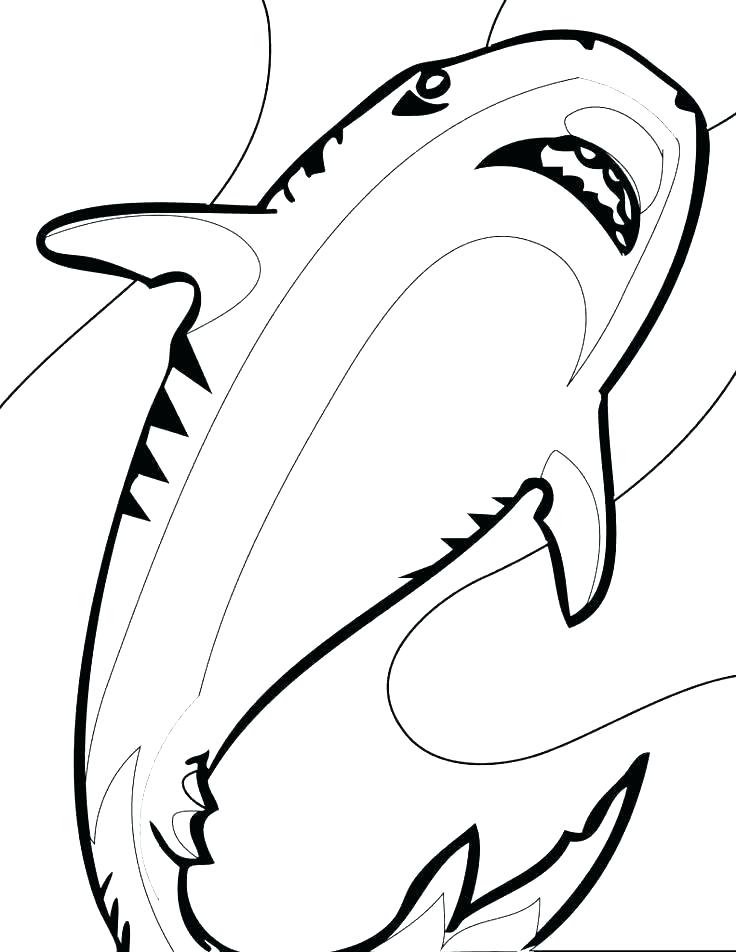 736x952 Coloring Pages Shark Under The Sea Animal Predator Shark Coloring