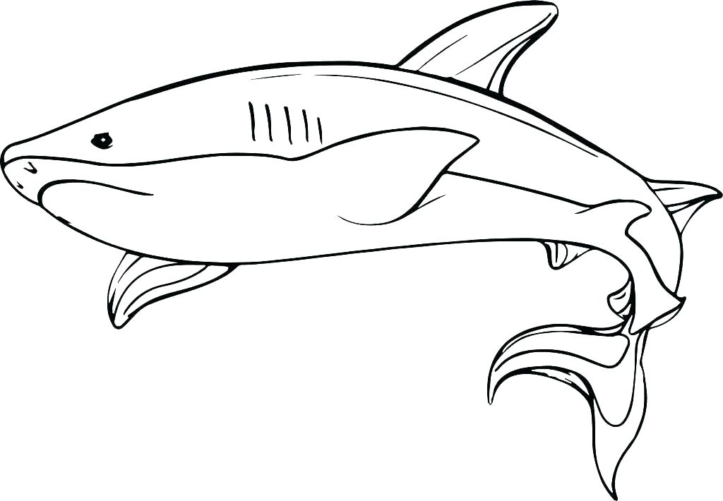 1024x710 Coloring Shark Free Baby Shark Coloring Book