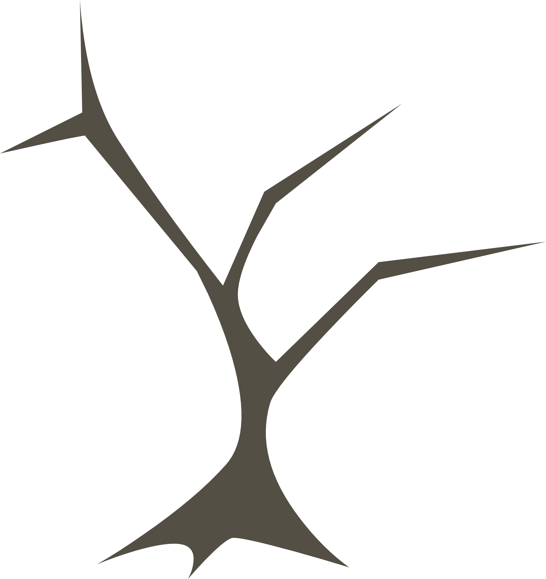 1811x1920 Drawing Of Sharp Tree Branches Without Leaves Free Image