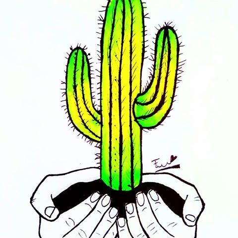 480x480 Tumblr Draw Cactus