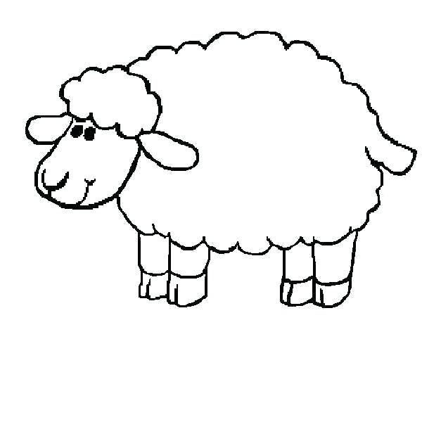 600x600 Sheep Coloring