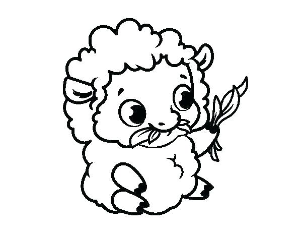 600x470 Sheep Coloring Pictures Sheep Coloring