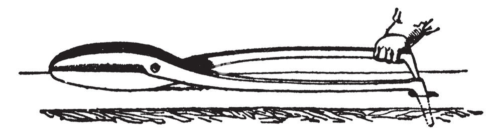 1000x270 This Illustration Represents Tinsmith Shears Which Is A Tool