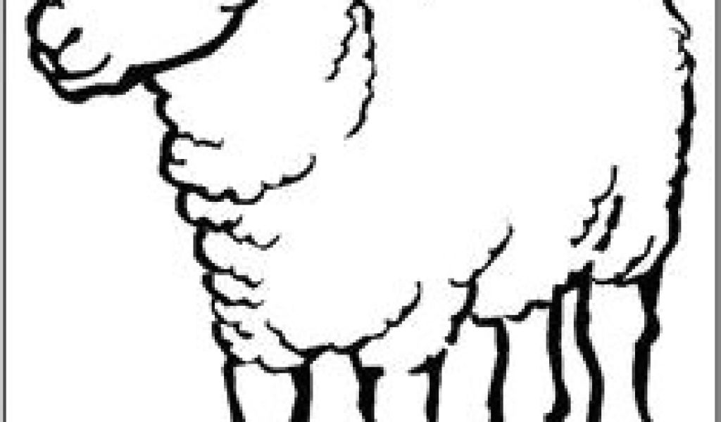 1024x600 drawing a cartoon sheep best lambs sheep images sheep drawing s