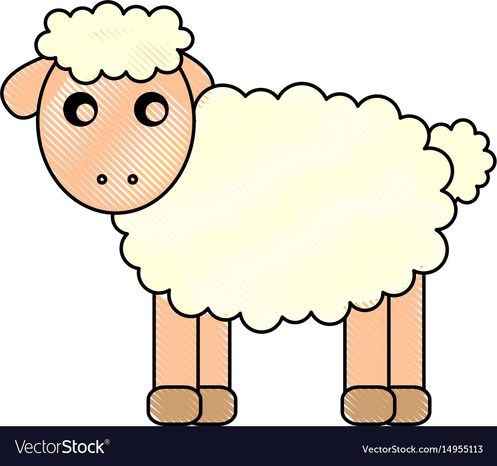 1000x937 Cute Sheep Drawing Character Vector Drawings