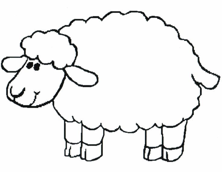Sheep Drawing For Kids