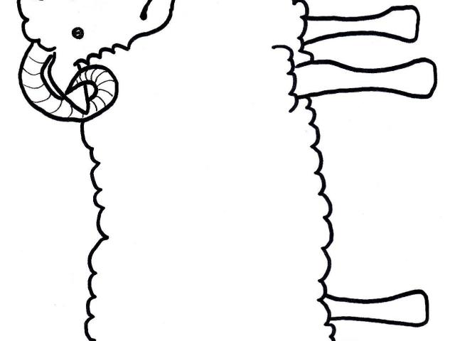640x480 Sheep Drawings For Kids
