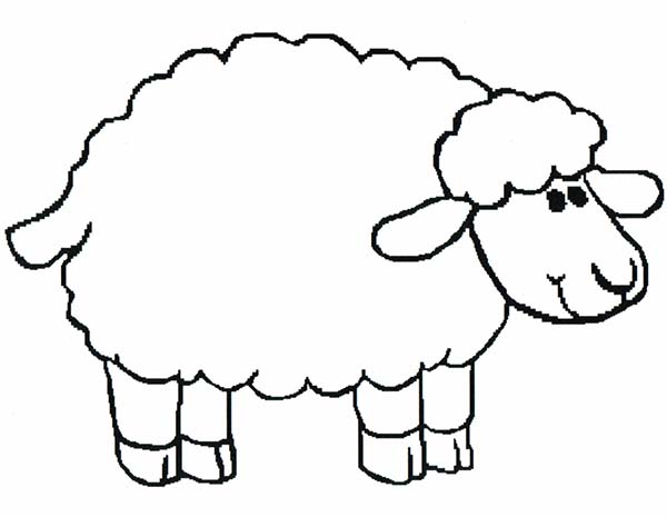 600x465 Sheep Pictures For Kids Group With Items