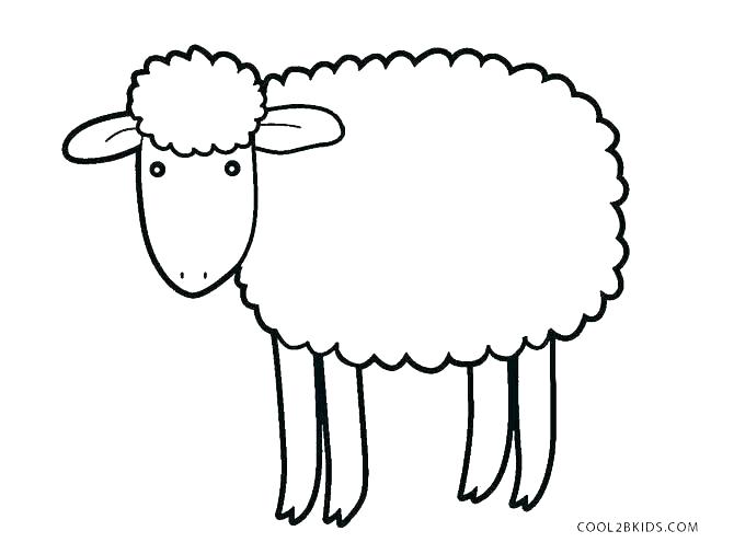 Sheep Drawing Images | Free download on ClipArtMag