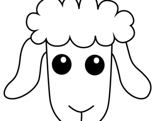 320x240 How To Draw A Face For Kids Learn How To Draw A Sheep Face