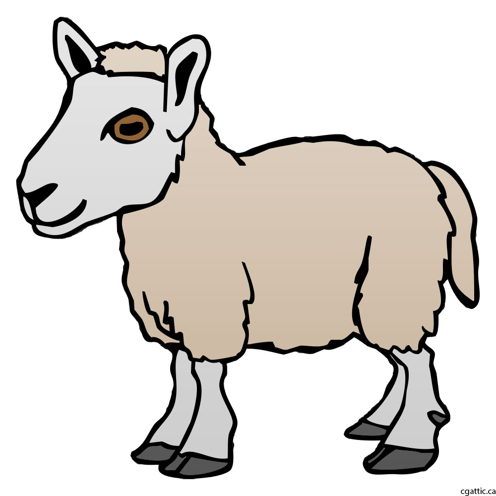 1000x1000 Sheep Cartoon Drawing In Steps With Photoshop