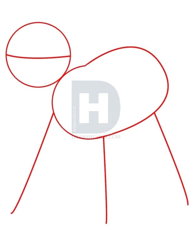 623x720 How To Draw A Lamb Step