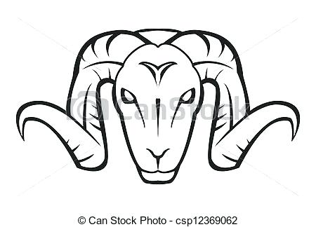 450x324 Goat Face Drawing Drawing The Reference Lines For The Eyes Nose