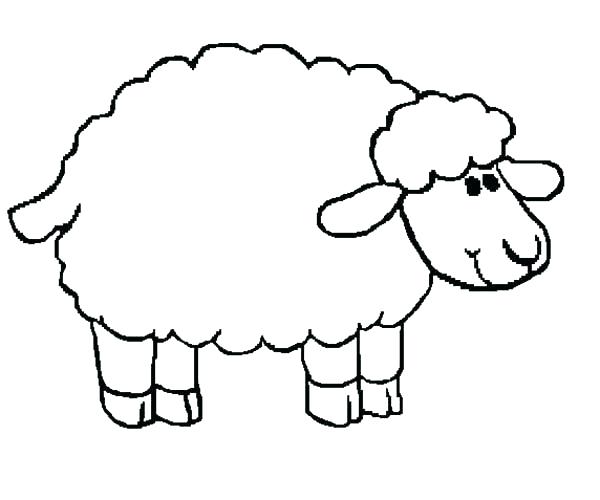 600x500 Sheep Face Colouring