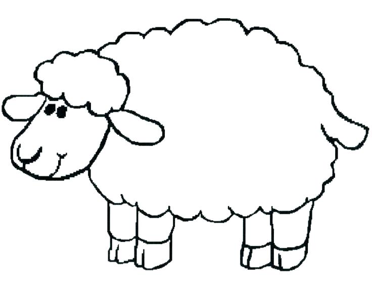 736x570 Sheep Template Printable Sheep Template Lamb Coloring