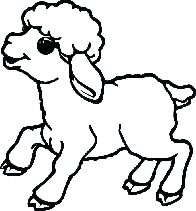 688x740 Coloring Sheep Pictures