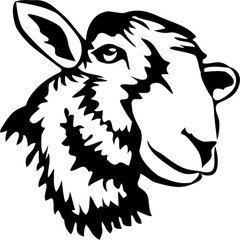 240x240 Lamb Head Photos, Royalty Free Images, Graphics, Vectors Videos